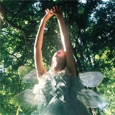 夏日天空的那匹红马